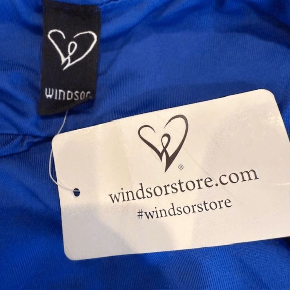 NWT Windsor Vivid Blue Backless Ruched Bodycon Mini Dress Stretch Size Large - Picture 4 of 10